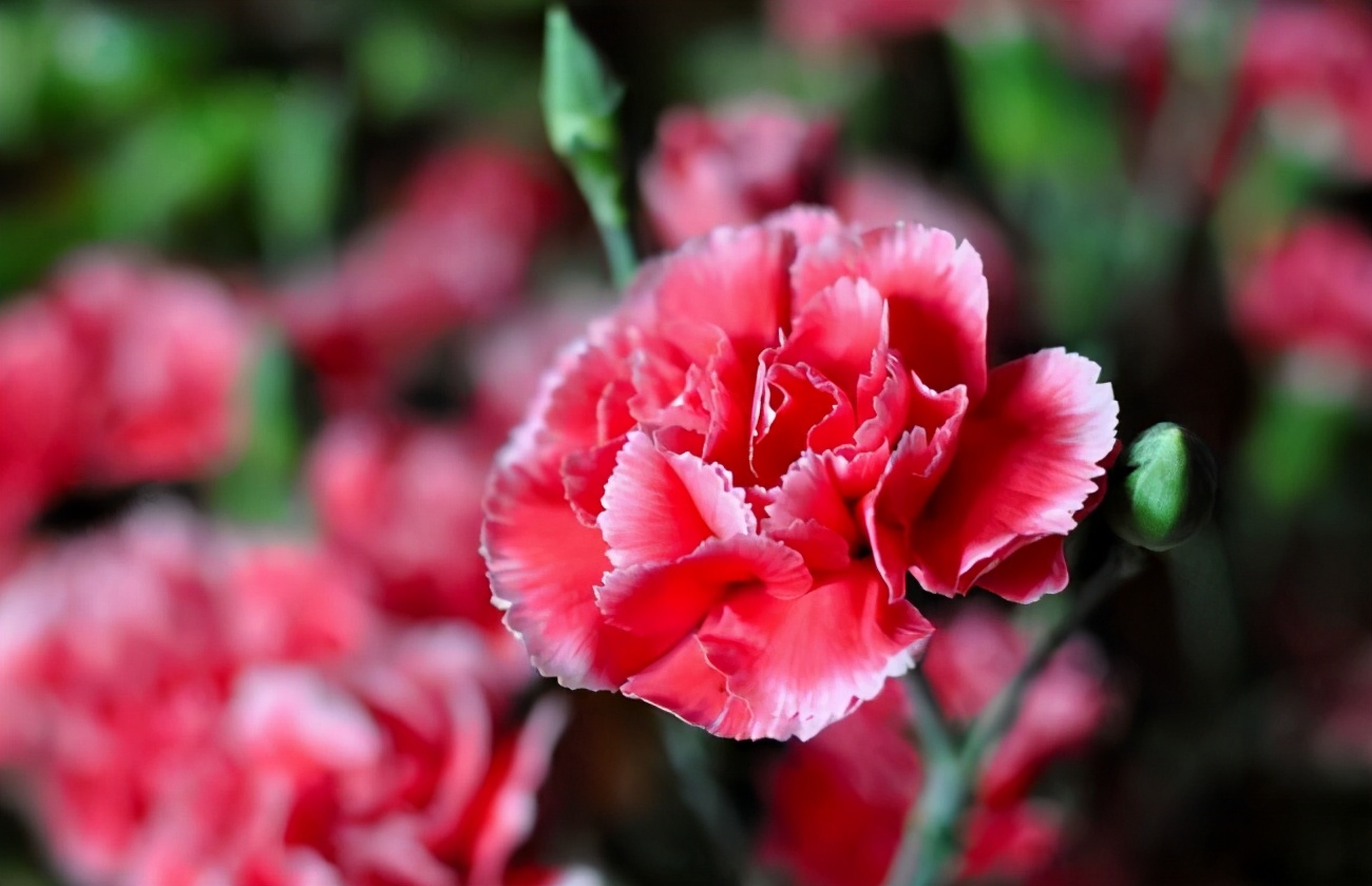 人到牛年要有好的心态,牛年总结精辟语录