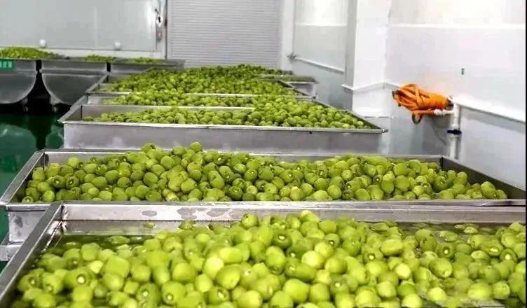 陕西眉县猕猴桃销往全国各地,眉县猕猴桃出口