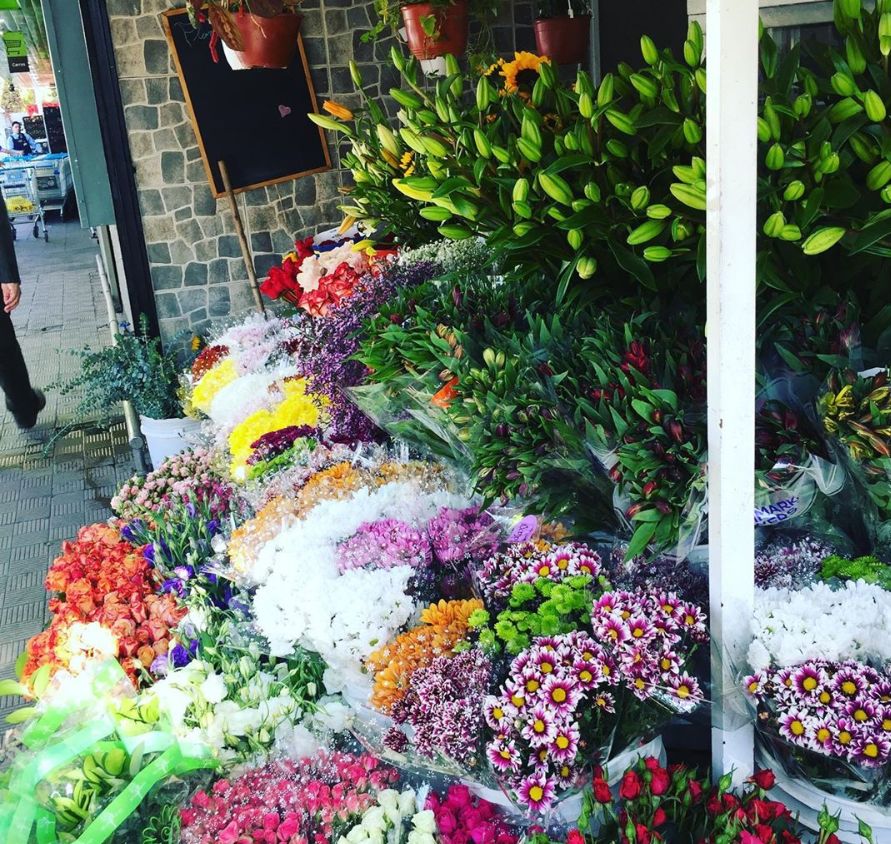 开花店的十大忠告,开花店的人现在都怎么样了