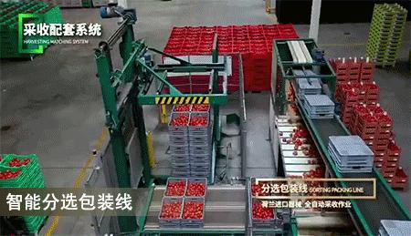 俯瞰珠海全景最佳地点,珠海这个地方好吗