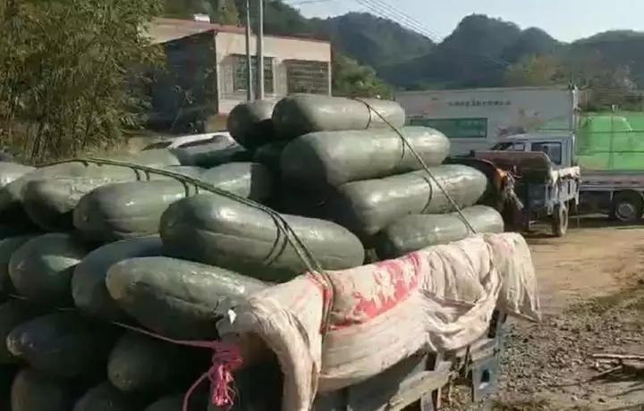 只要机器热起来，就有希望！