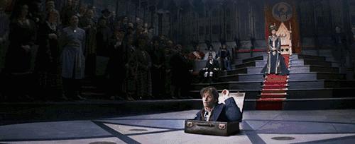 有哪些比较好的旅行箱,好看又实用的旅行箱