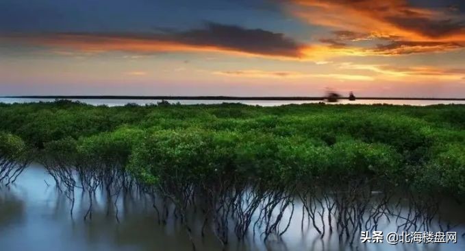 北海腾飞,未来可期北海