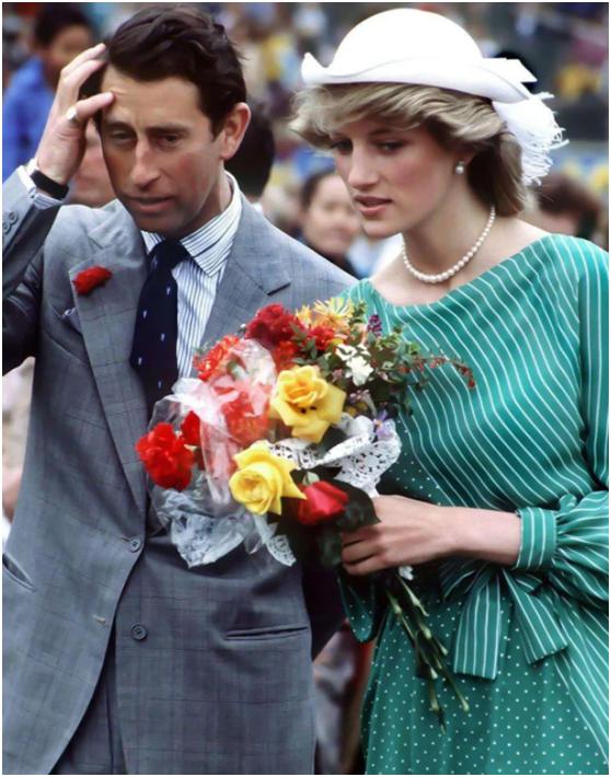 戴安娜穿裙子的视频,戴安娜王妃捡拐杖