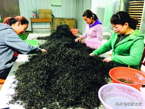 广西桂林：青狮潭库区移民的“谋生之路”