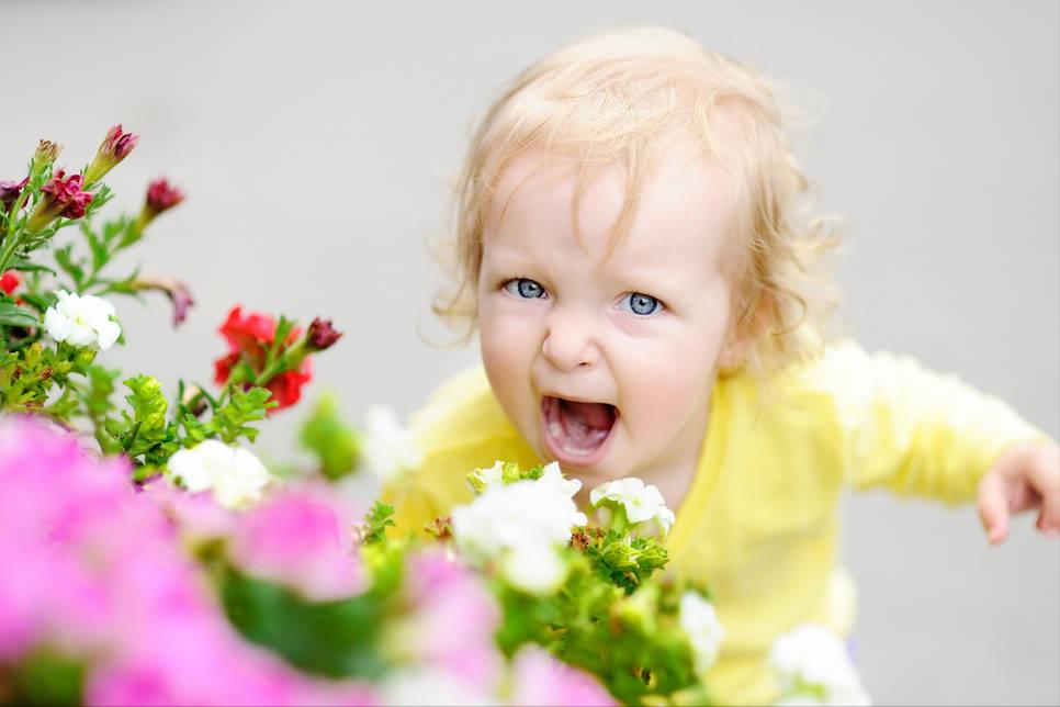 孩子发脾气摔东西如何解决,孩子发脾气爱摔东西怎么教育