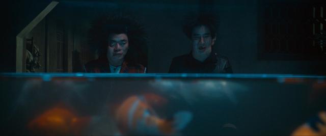 陈凯歌的毒,在《道士下山》里,被王宝强给解了