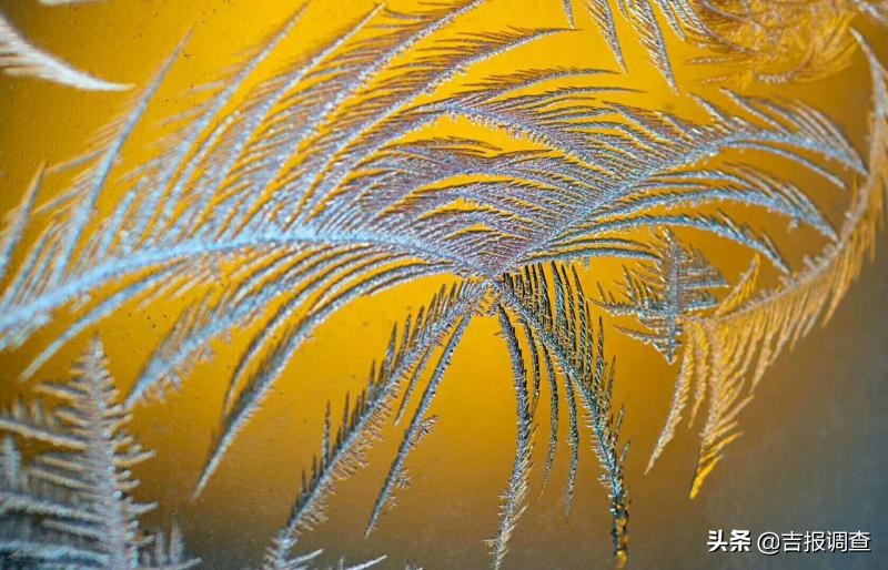 玻璃窗上的霜花像什么,玻璃上的霜花是什么样子