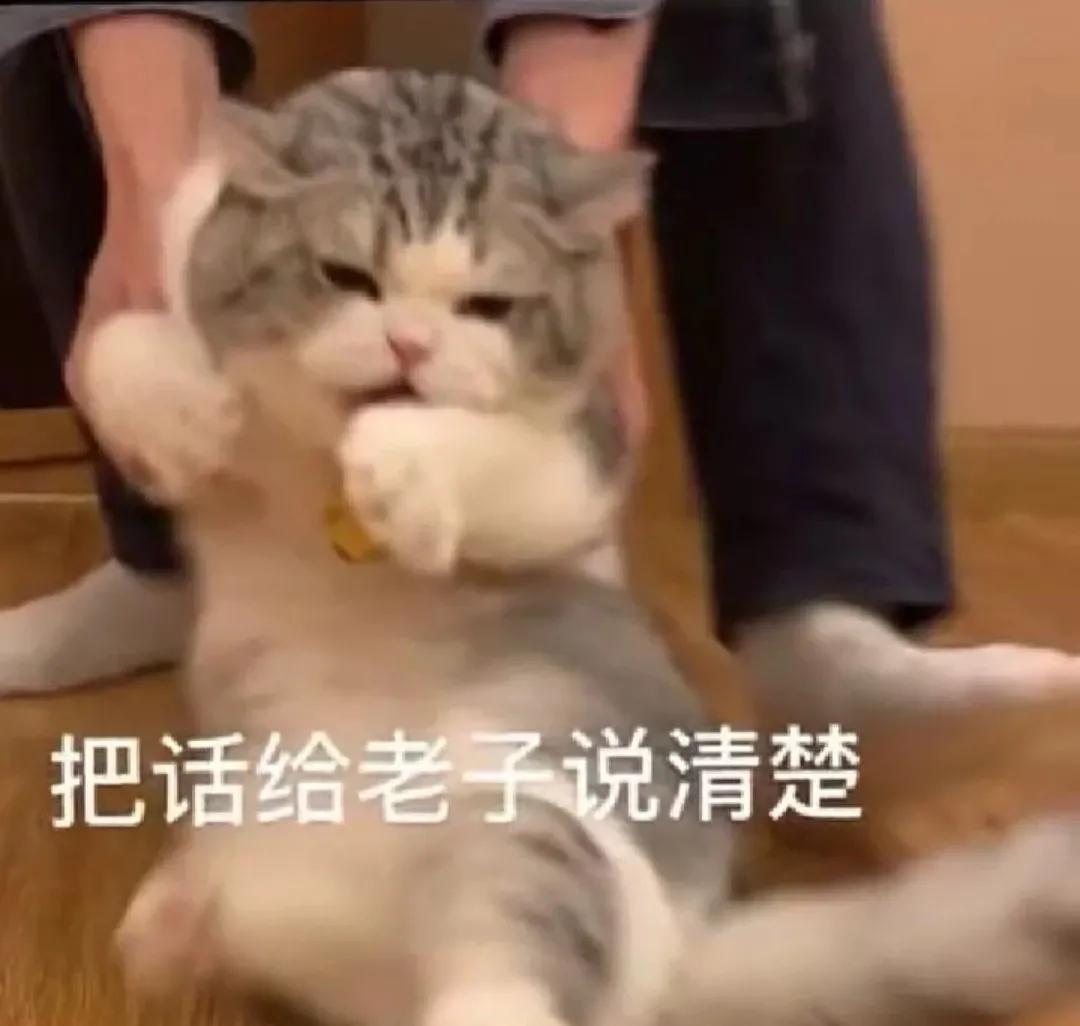 为何各地区四六级报名费不一样,英语四六级考试报名费要多少元