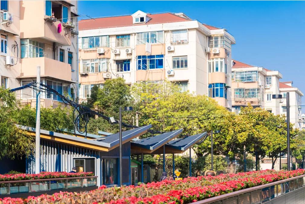 徐汇区区长钟晓咏,钟晓咏徐汇区区长