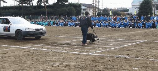 日本学校教育的危机,日本学生车祸安全教育
