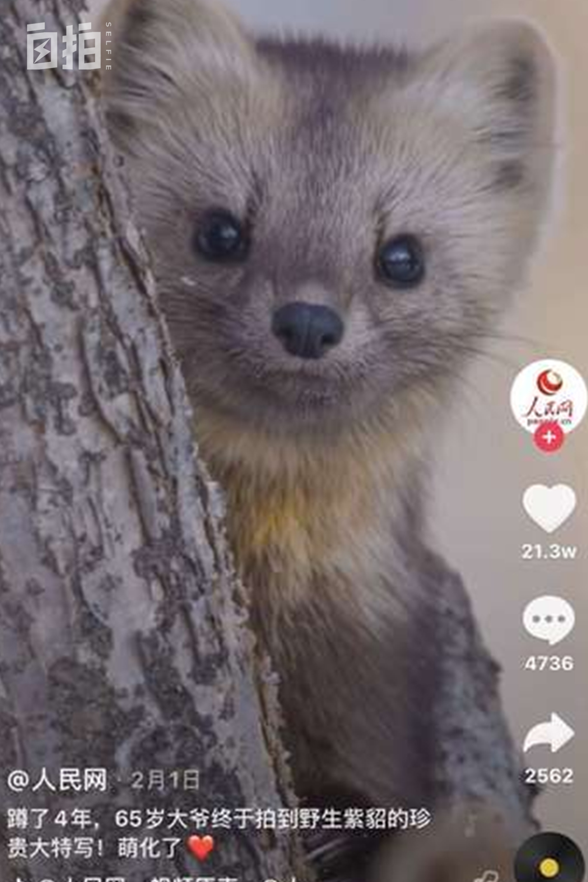 我，东北开过砖厂，巴黎刷过盘子，58岁再转型，从厨师变成摄影师