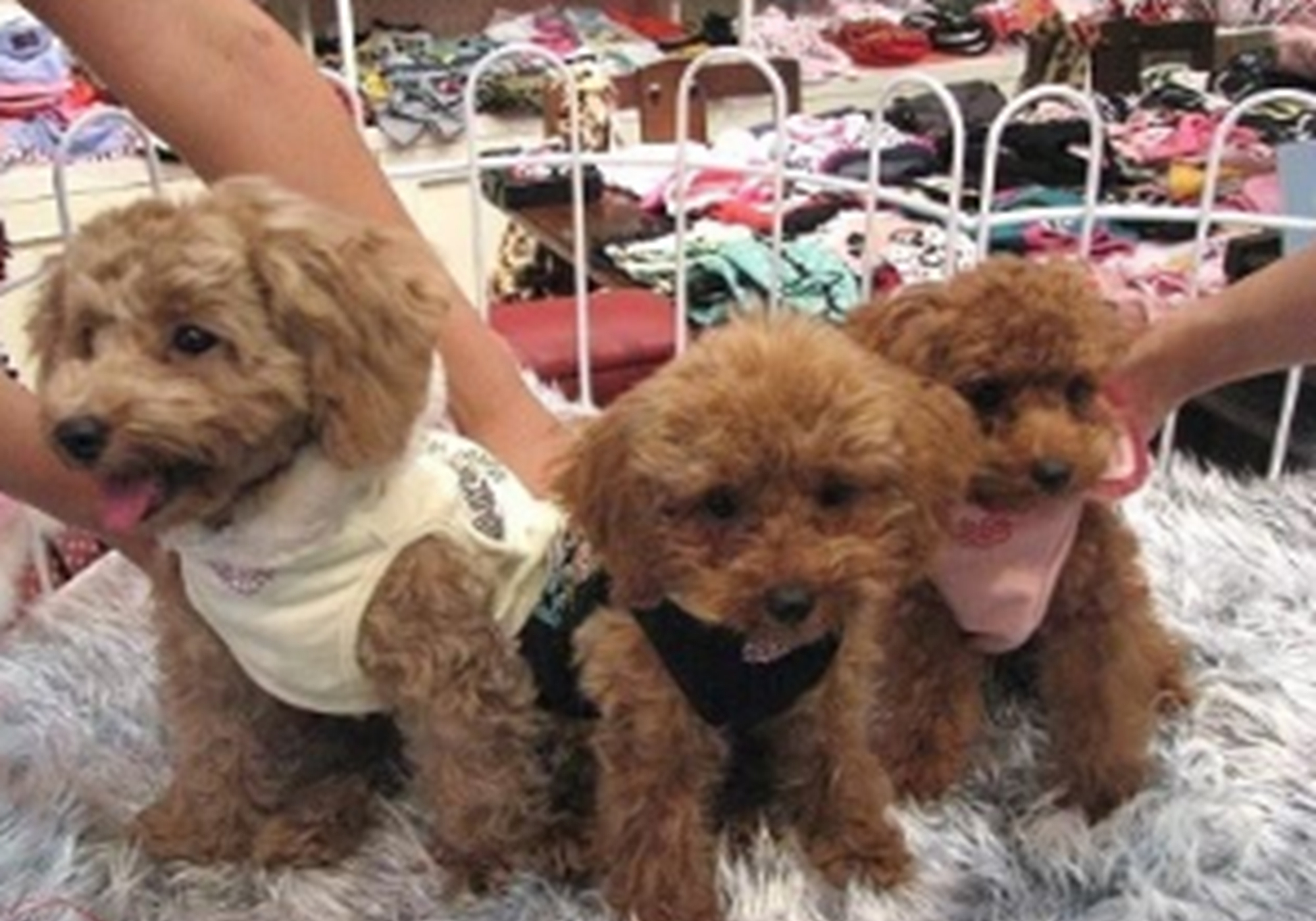 未来三年可做的生意,未来三年有哪些适合普通人的生意