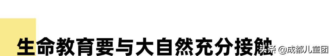 生态园的青蛙，屋檐上的燕子……都是成都这所小学的“校宠”