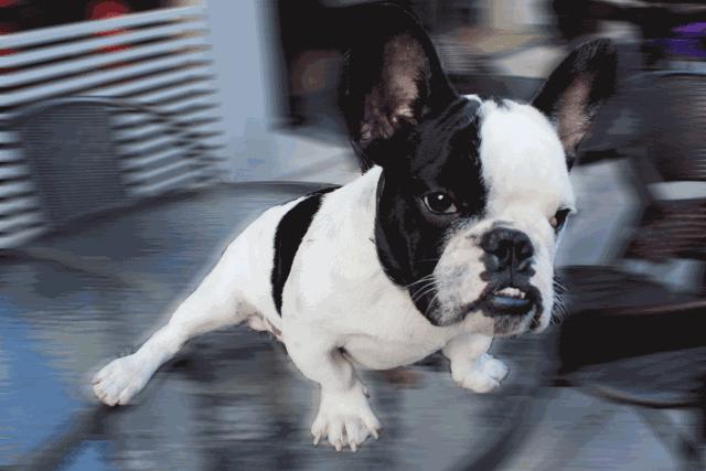 深圳龙华不是你想来就能来的地方,深圳龙华适合逛的地方