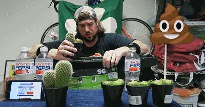 看着都痛的搞笑名场面,看着都痛的搞笑图片