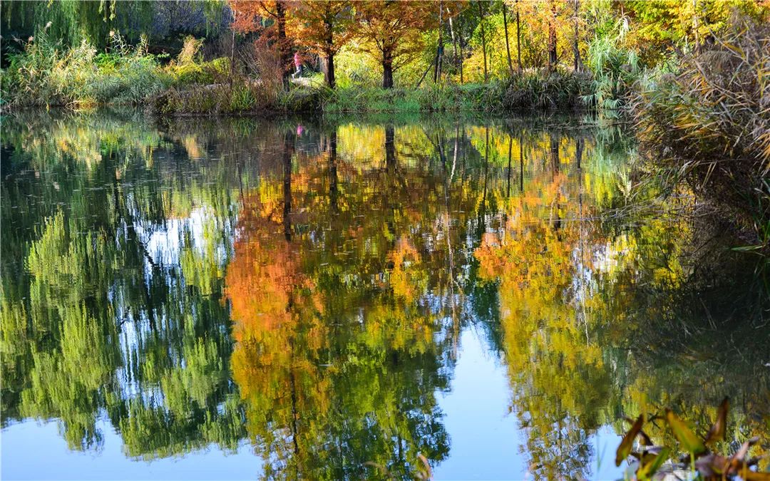 夏日好去处济南森林公园,济南森林公园雪景