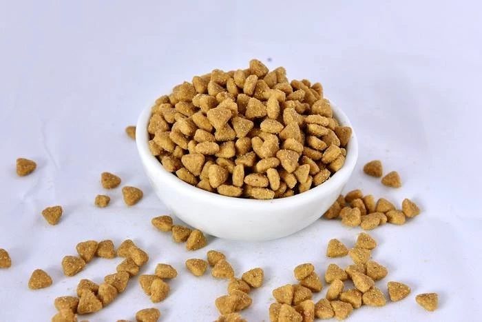 为什么不建议给猫吃廉价猫粮,猫咪现在还能吃的进口粮