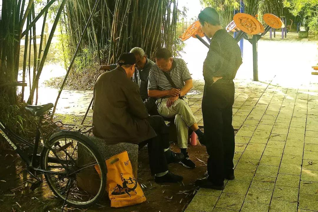 郑州春天骑行的好地方,郑州运动类游玩地