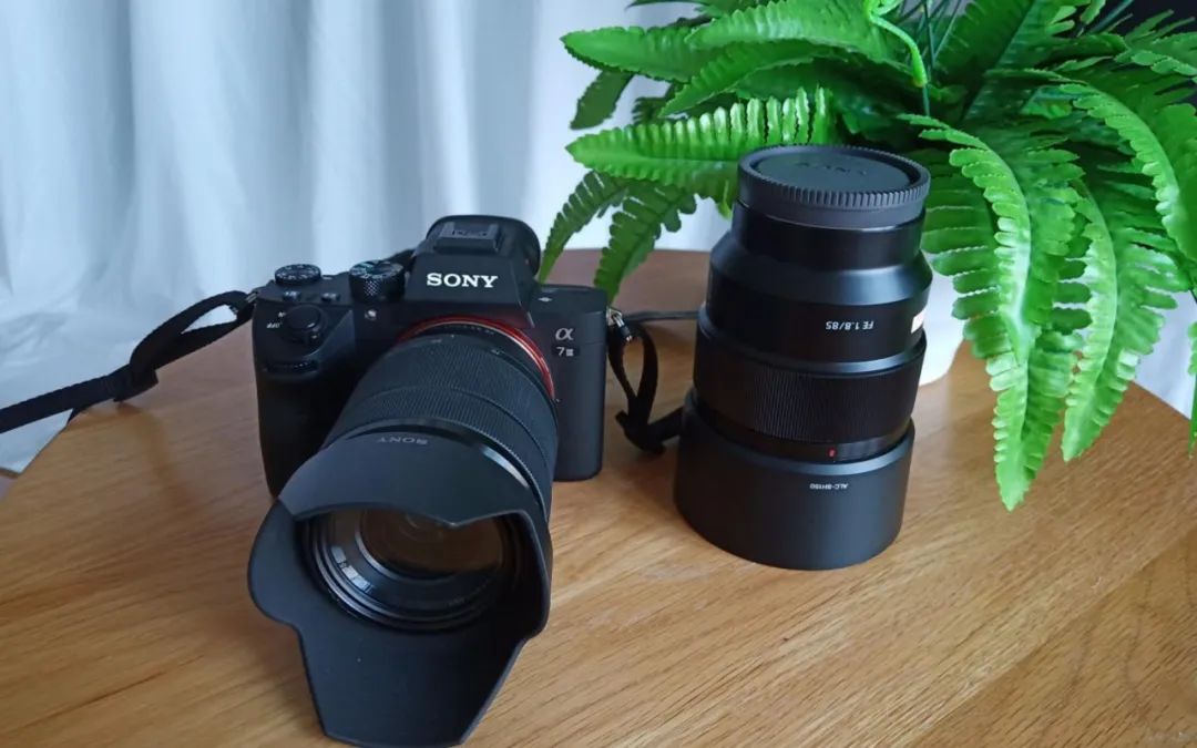 索尼佳能富士尼康都是日本的吗,买佳能的人多还是买尼康的人多