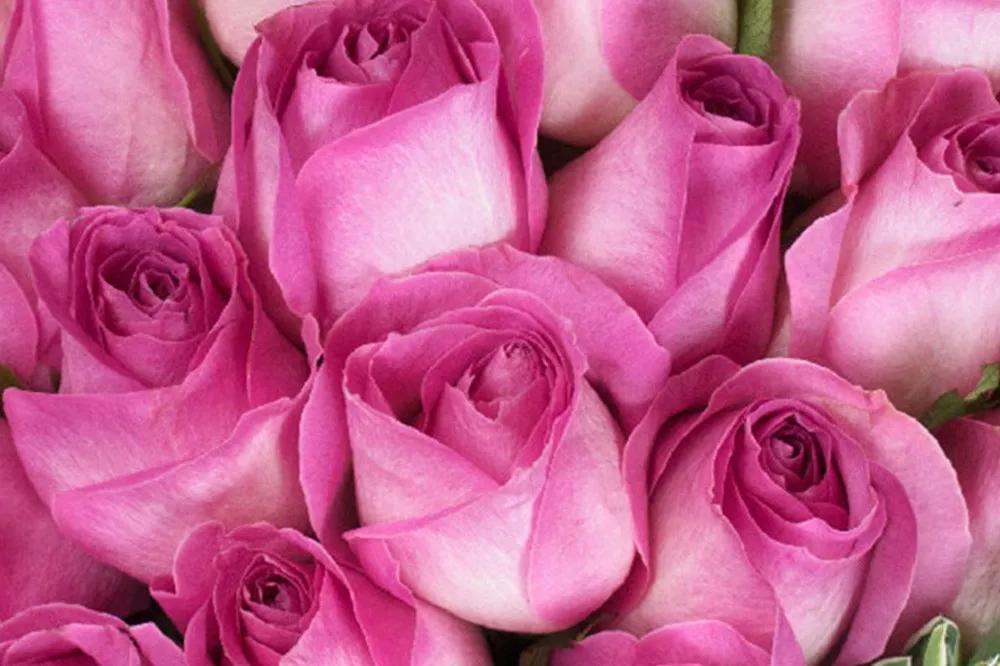 花店必备的5款玫瑰,花店常用的10款玫瑰花是哪些品种