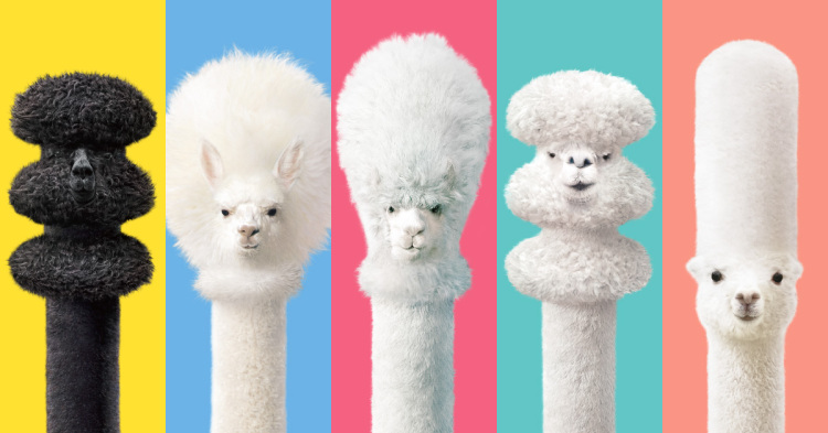 被玩坏了的金毛,被玩坏的羊游戏