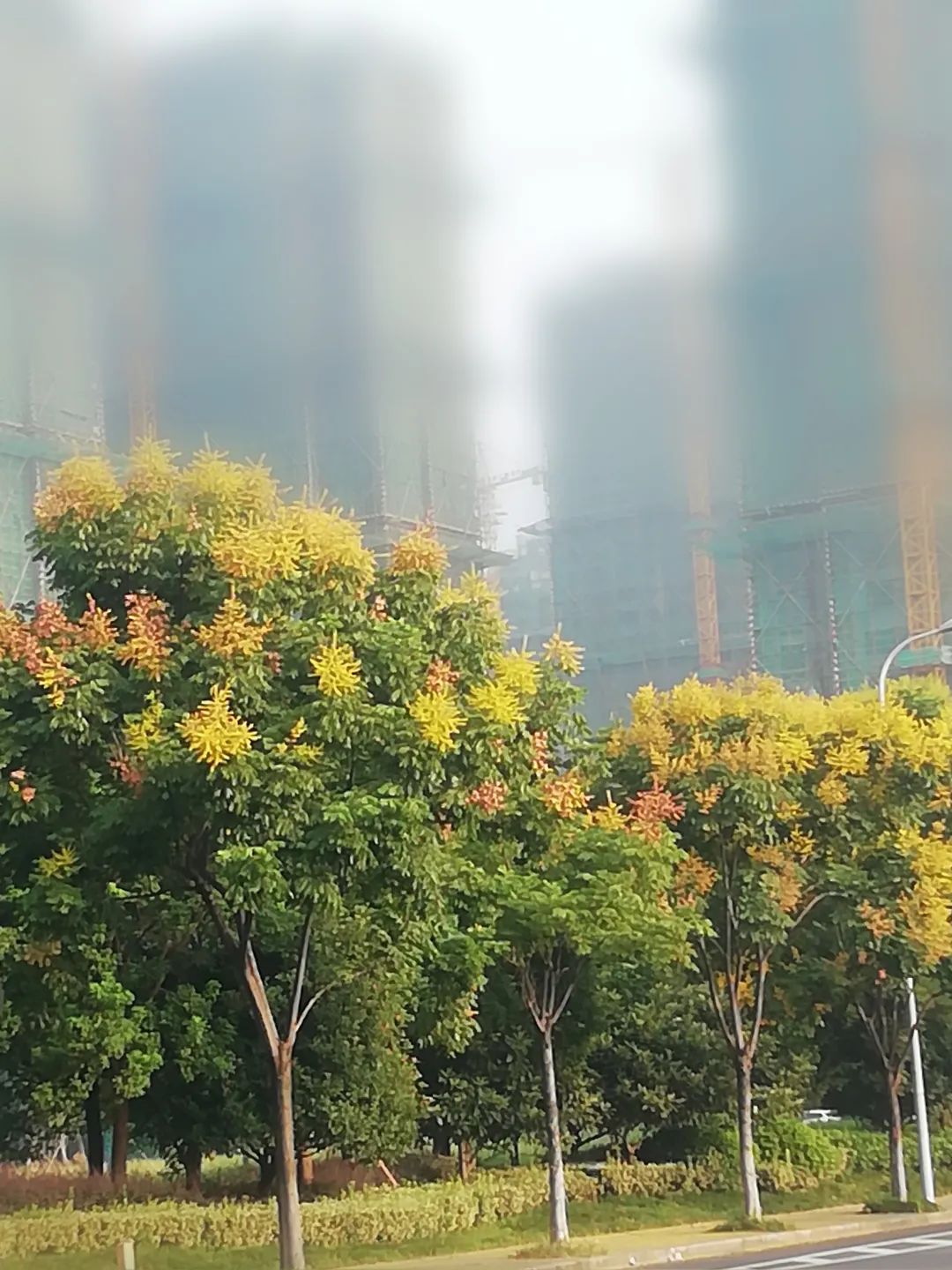 草木人间和燃冬,草木和人间