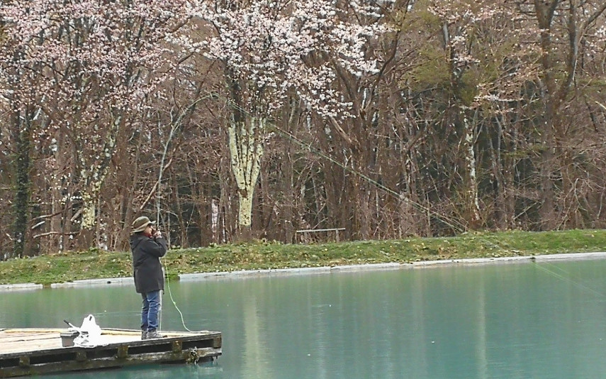 15天8000里，我们刚去名古屋和日本人抢了个五一假期