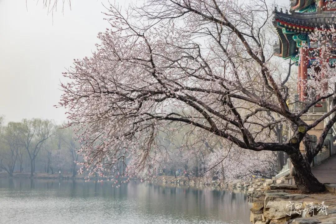 佳能rf70-200mmf4镜头价格,轻巧大光圈长焦佳能rf70-200mmf2