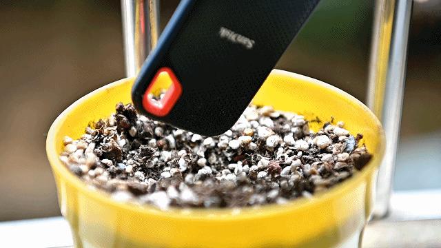 闪迪至尊高速tf256g评测,闪迪至尊高速移动microsdhc存储卡