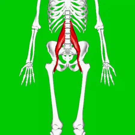 最有效果驼背矫正方法每天10分钟,最实用的二十多种驼背的矫正方法