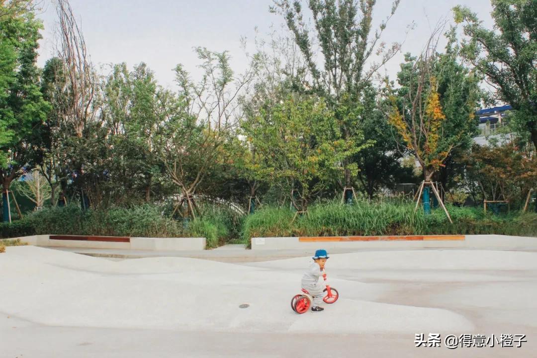 口袋公园有多少个,口袋公园一般多大面积