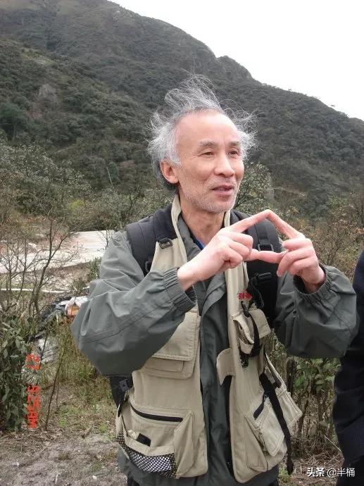 蛇中熊猫莽山烙铁头图片,蛇中熊猫莽山烙铁头有多珍稀