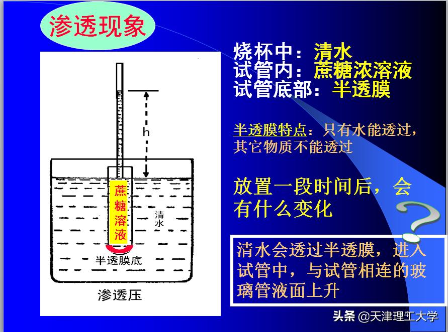 鍖栧鍖栧伐瀛﹂櫌闄㈣澶у叏,鍖栧鍖栧伐瀛﹂櫌瀛﹂