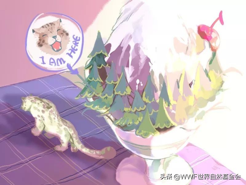 如何品味普洱茶,如何品味一杯红茶