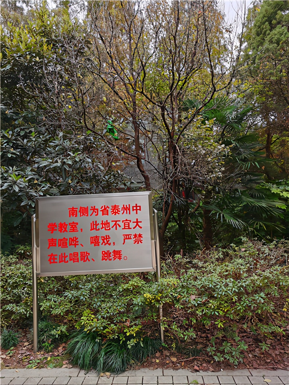 江苏泰州自驾游攻略路线,江苏泰州游览的路线图