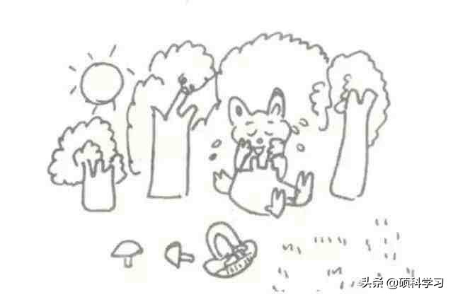 一二年级看图写话训练教程视频,一二年级看图写话训练教程