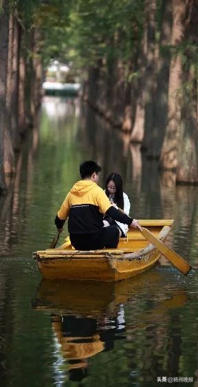 2018年冬天扬州赏花攻略,扬州11月秋景打卡地