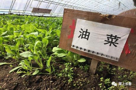 好事成双！拿长春消费券游莲花山，有折扣有套餐！