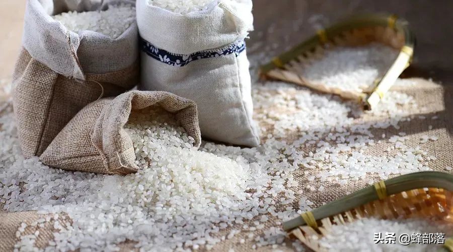 稻谷储存用什么防出米虫,玉米怎么储存才不会长虫