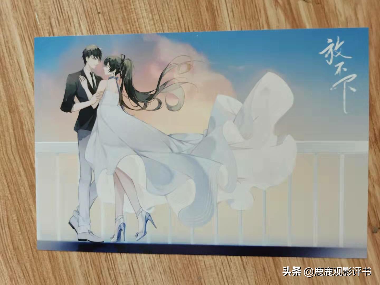 书评：以另类的角度看晋江金榜作品半截白菜的甜宠文《放不下》