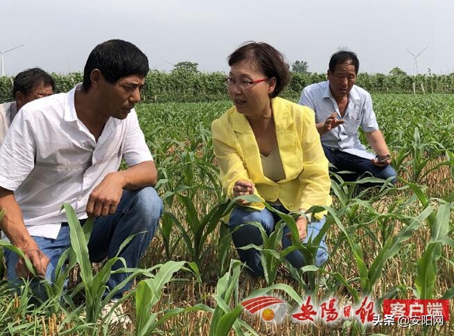 千方百计让农民挑上金扁担,让农民真正挑上金扁担