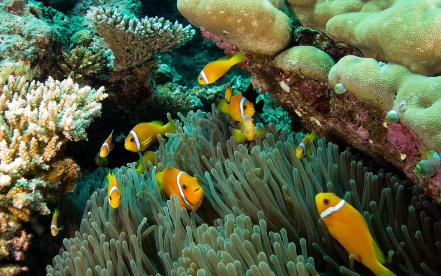 马代选岛不踩坑,马代国庆选岛攻略