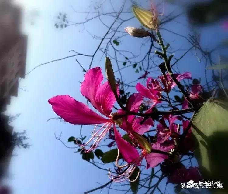 权威遭遇,权威的位置