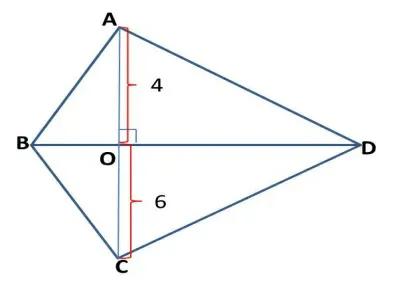 五年级数学组合图形阴影面积,组合图形的面积动手操作