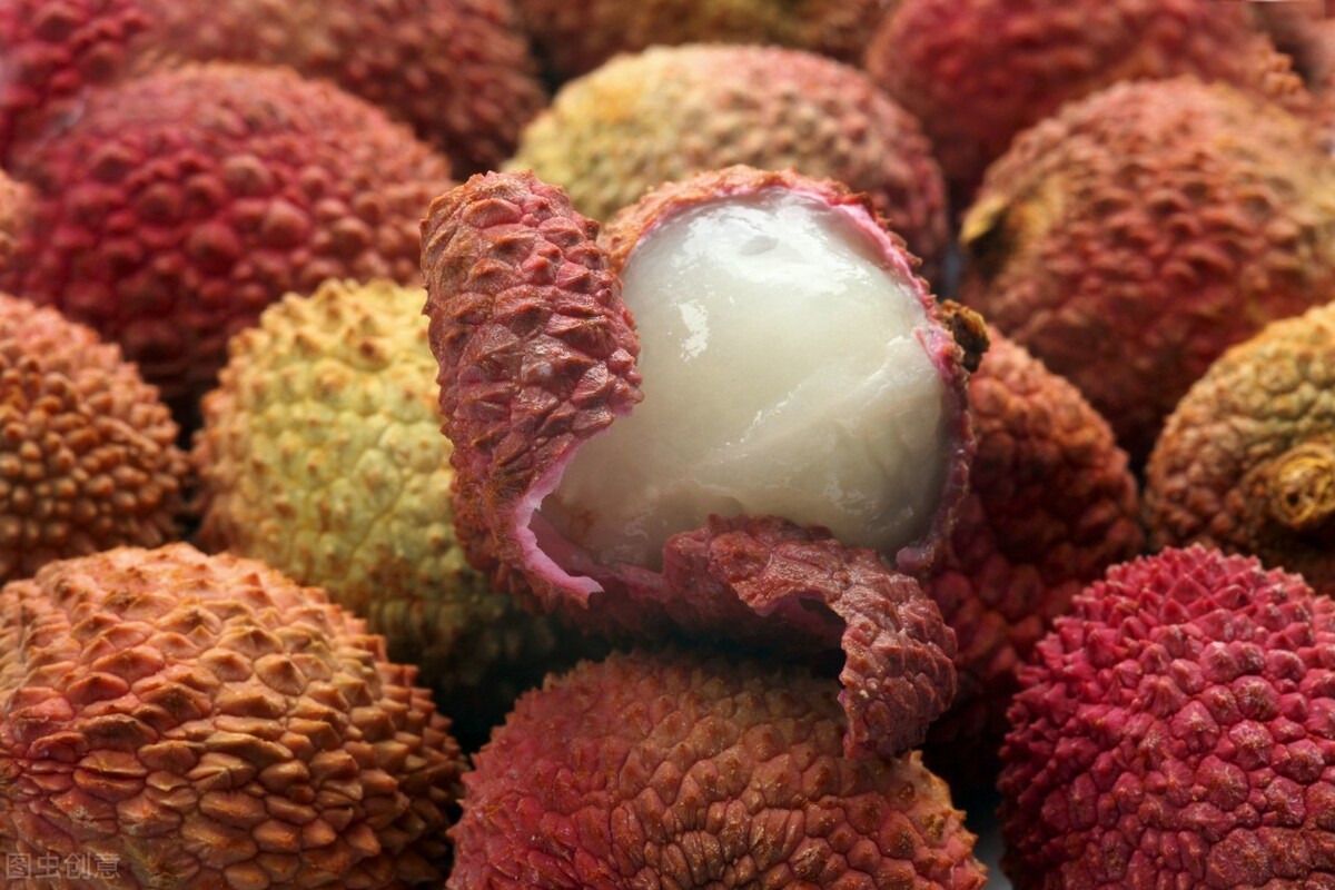 荔枝快坏了怎么办,怎样判断荔枝已经坏掉不能食用