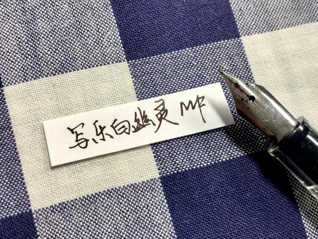 文具控的笔,各种钢笔测评完整版