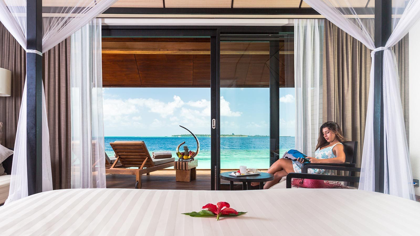 梦想实现的地方叫什么,港丽岛