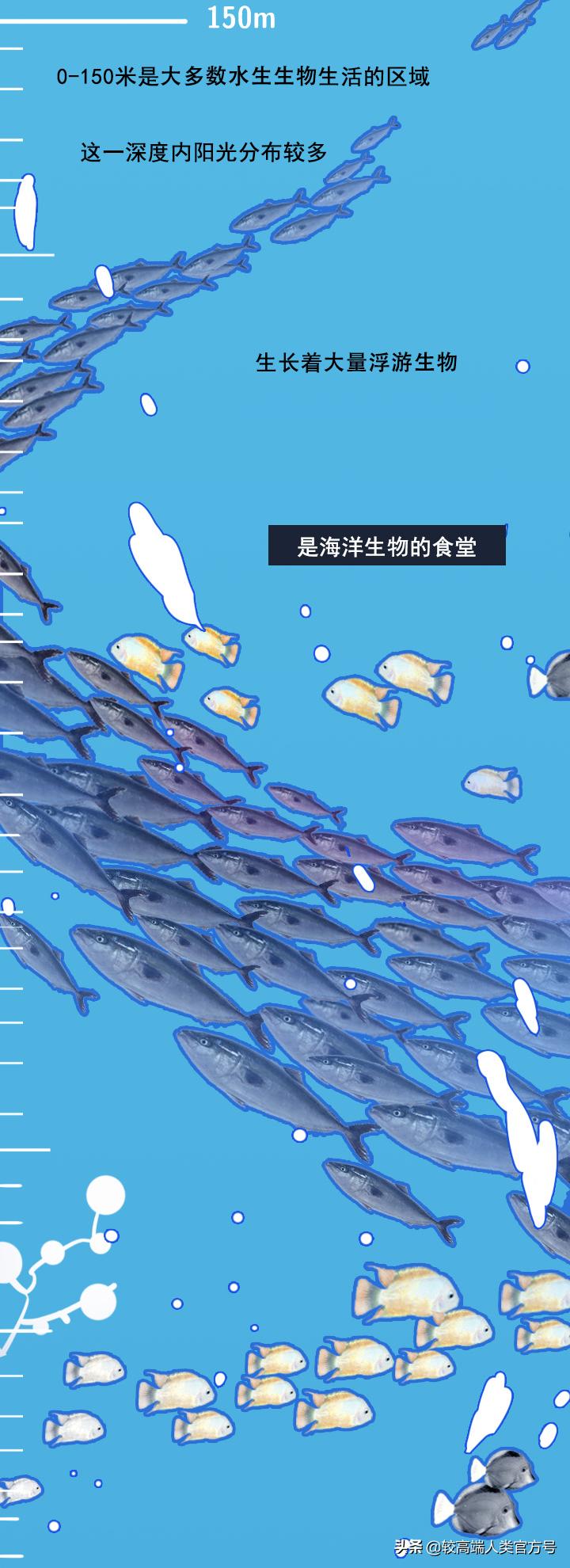 手机掉进水里十几秒有问题吗,手机掉入1000米