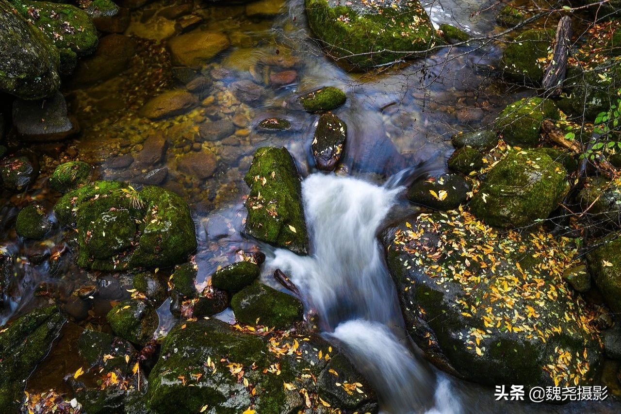 留坝秦岭之夜,留坝秦岭森林公园